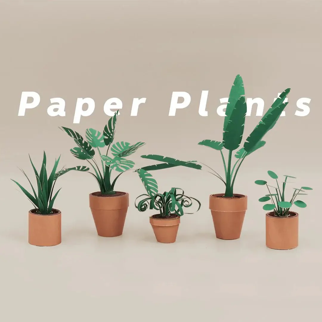 Paper Plants DIY Kit - Image 5