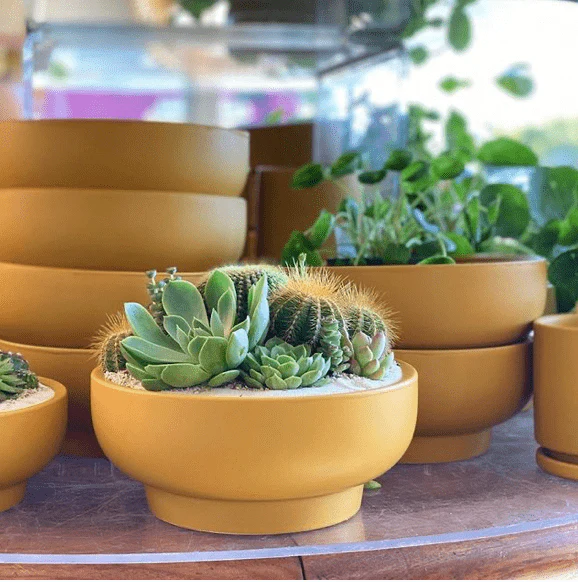 Pedestal Home & Garden Bowls - Image 3