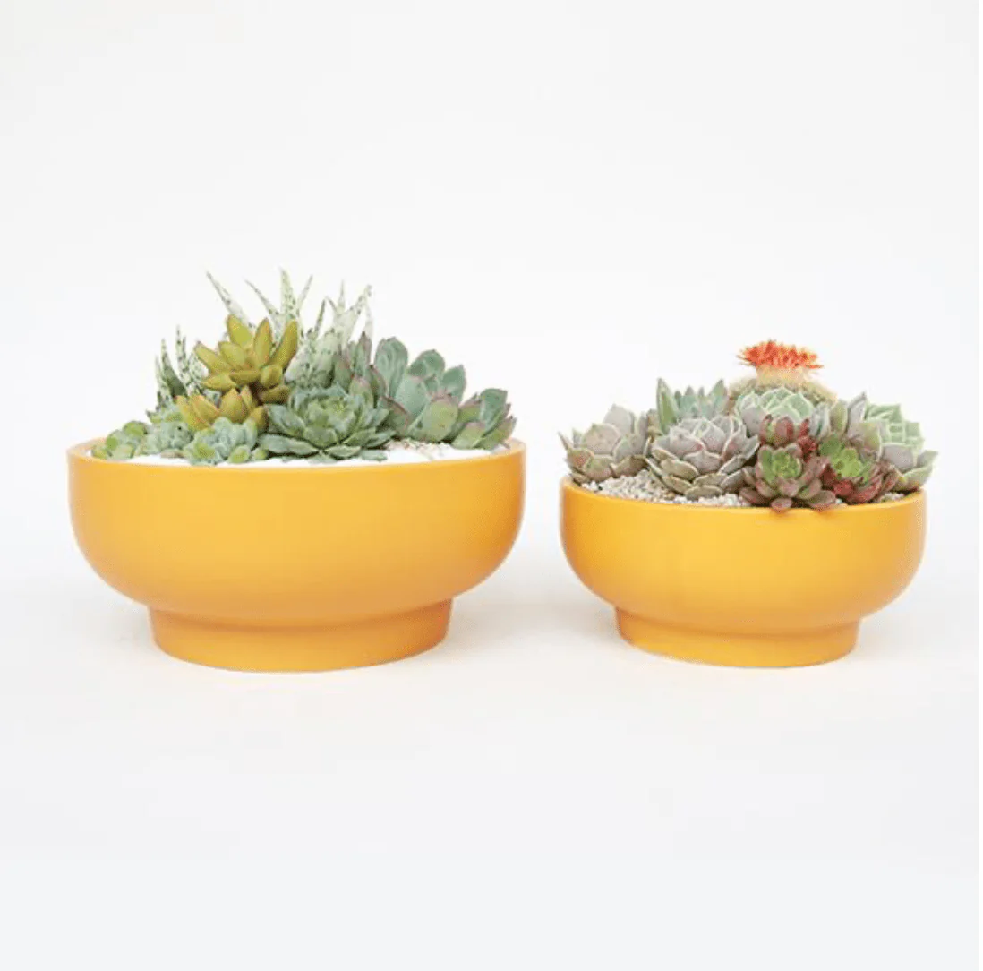 Pedestal Home & Garden Bowls - Image 6