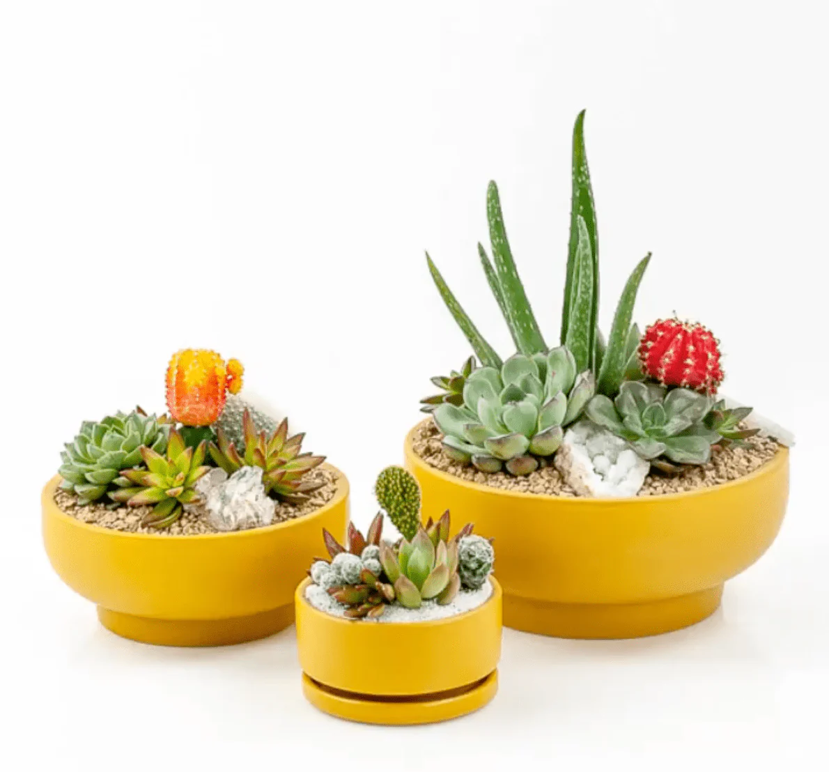 Pedestal Home & Garden Bowls - Image 7