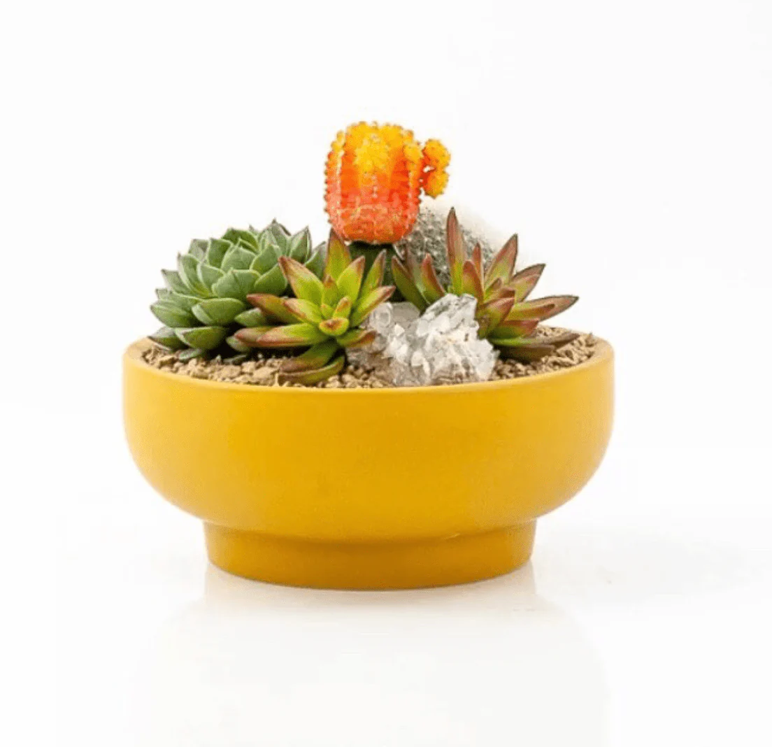 Pedestal Home & Garden Bowls - Image 8