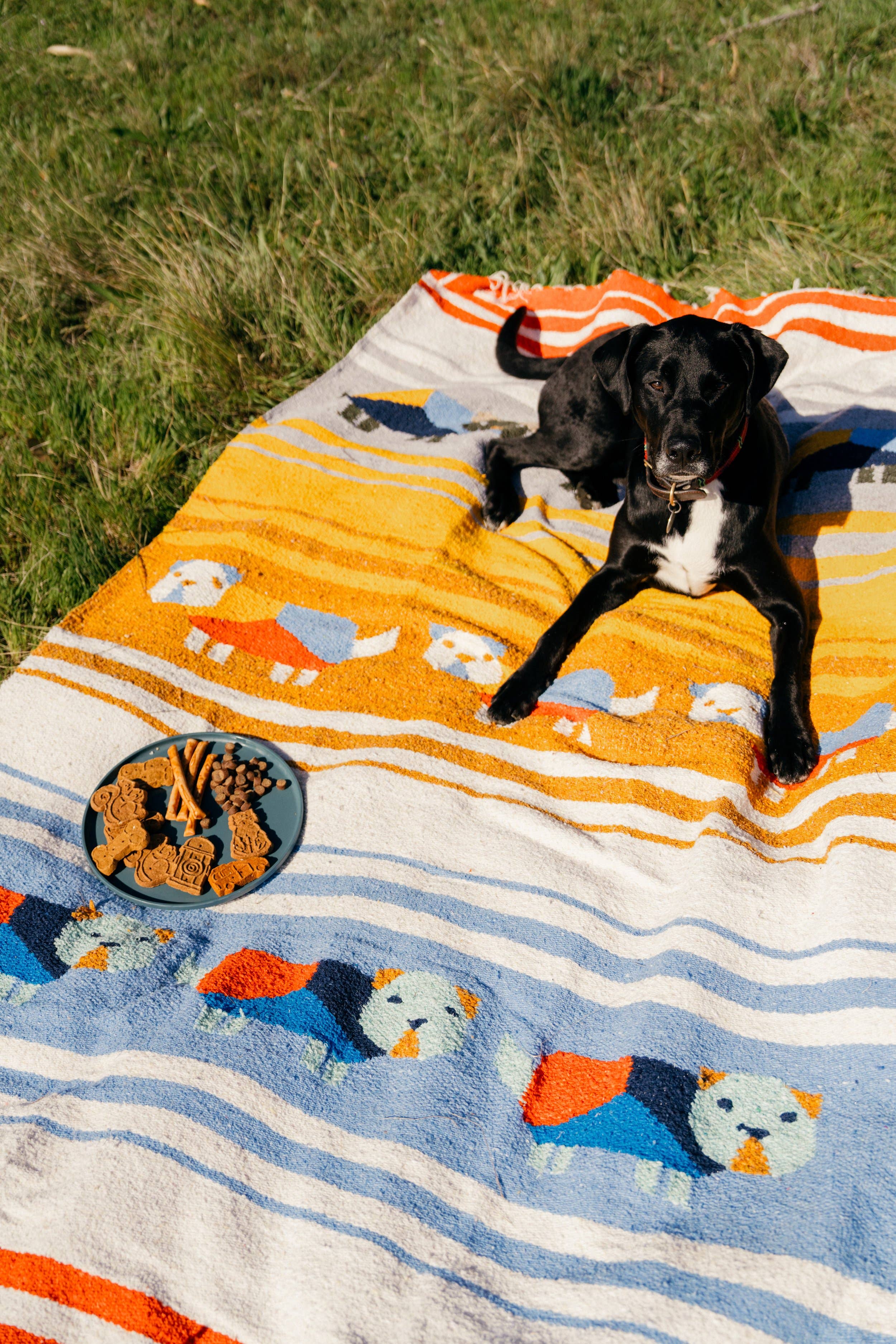 Blanket Roll - Perro Dorado - Image 3