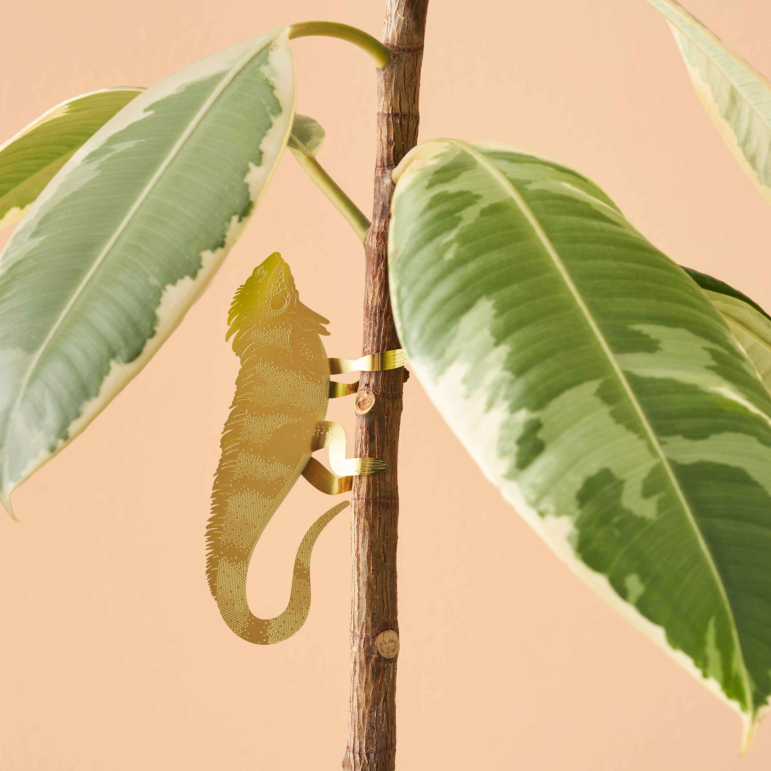 Plant Animal: Large Iguana - Image 2