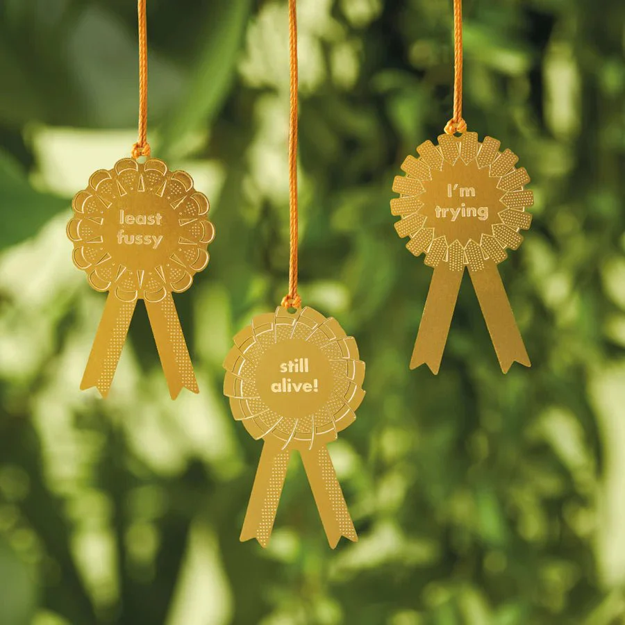 Plant Award Set: For the Hopeful and Humble - Image 2