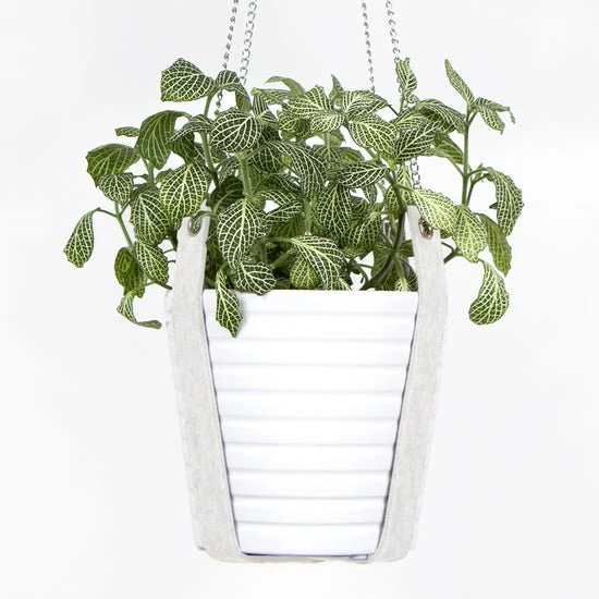 Merino Felt Plant Hanger - Image 11