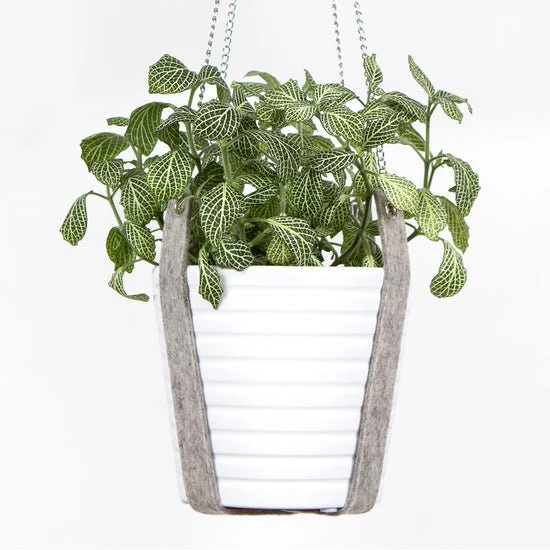 Merino Felt Plant Hanger - Image 8