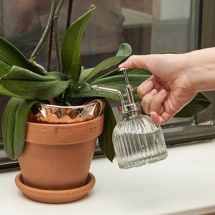 Glass Plant Mister - Image 2