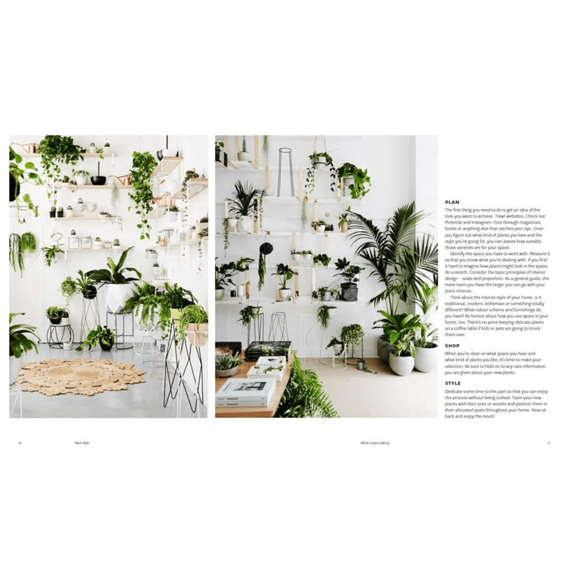 Plant Style: How To Greenify Your Space - Image 2