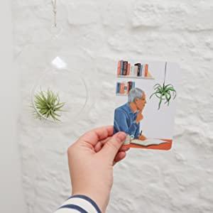 Plantfulness: How to Change Your Life With Plants - Image 3
