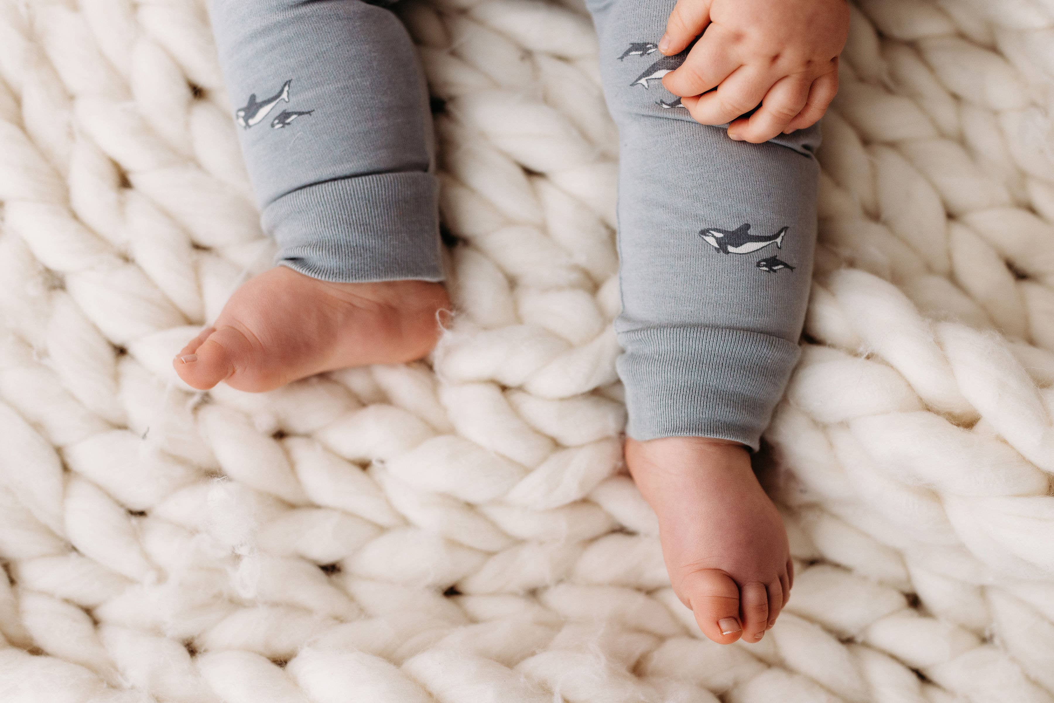 Orca Baby Pants - Image 2