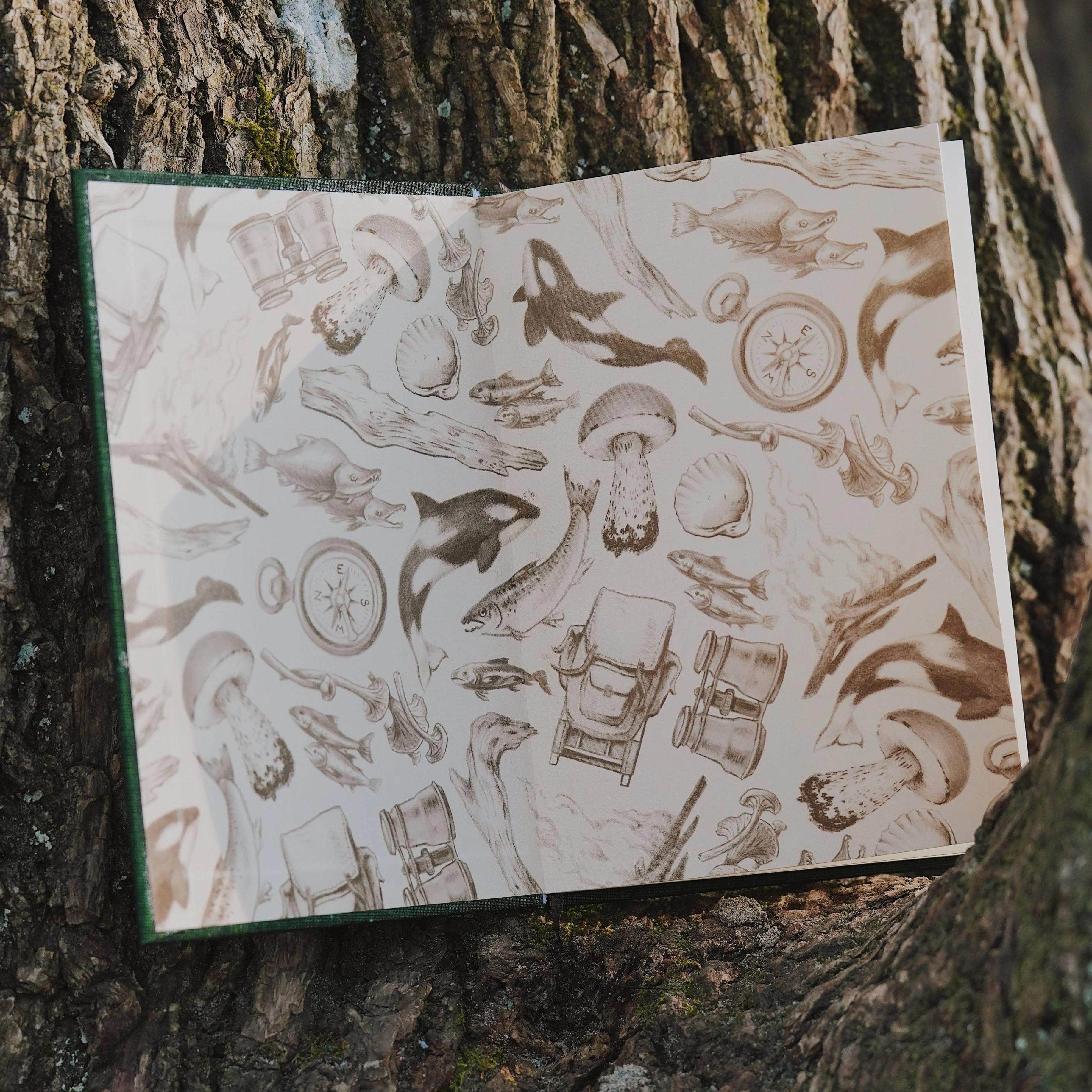 PNW: Card Games Inspired by the Pacific Northwest - Image 3
