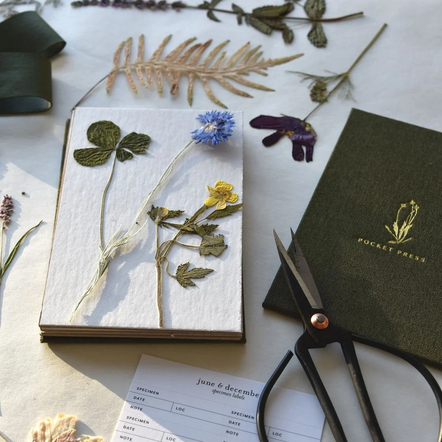 Pocket Field Flower Press - Image 5