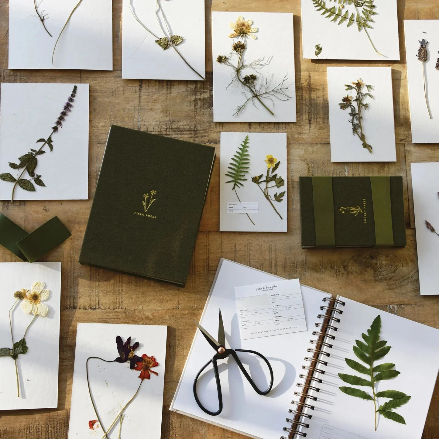 Pocket Field Flower Press - Image 6