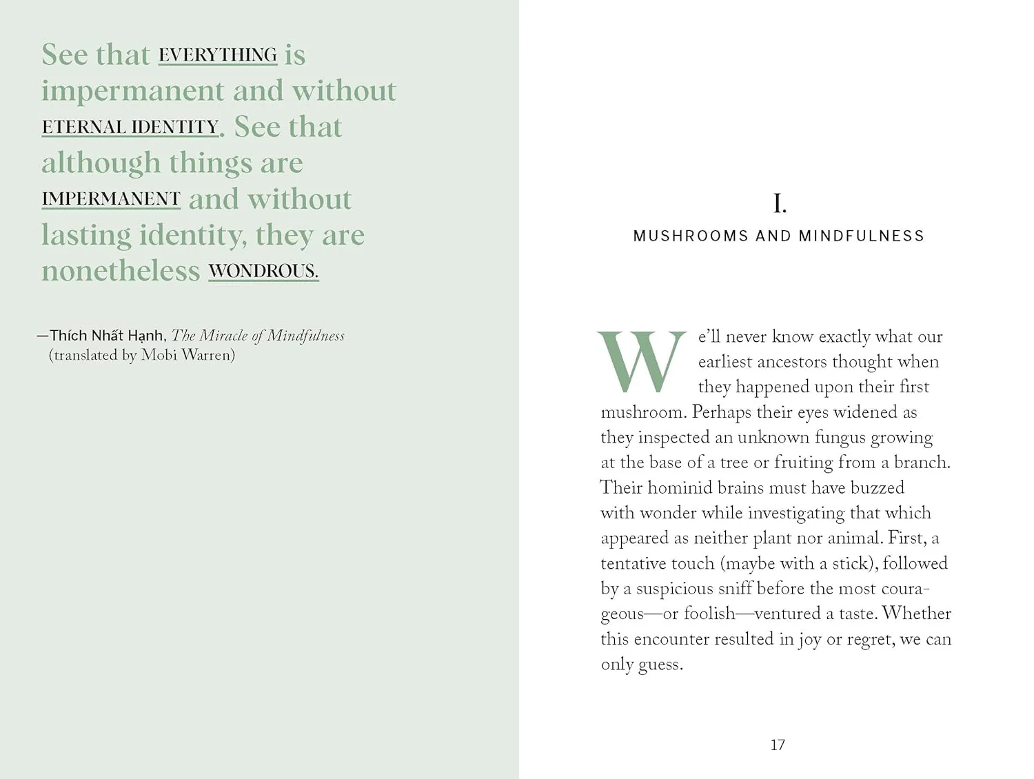 Pocket Nature: Mushroom Hunting: Forage for Fungi and Connect with the Earth - Image 2