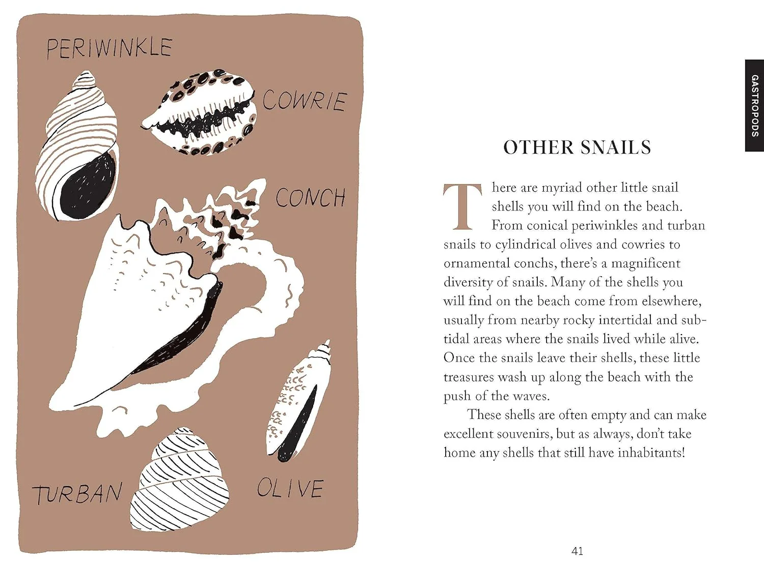 Pocket Nature Series: Beachcombing: Cultivate Mindful Moments by the Shore - Image 3