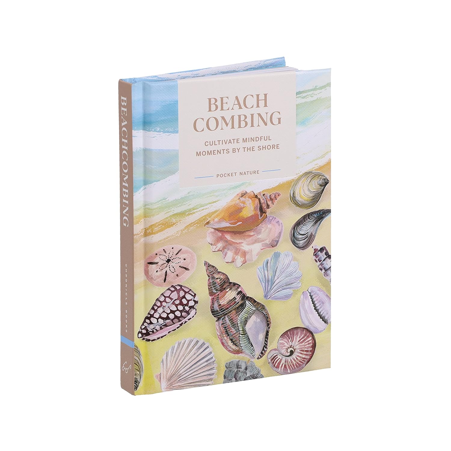 Pocket Nature Series: Beachcombing: Cultivate Mindful Moments by the Shore - Image 5