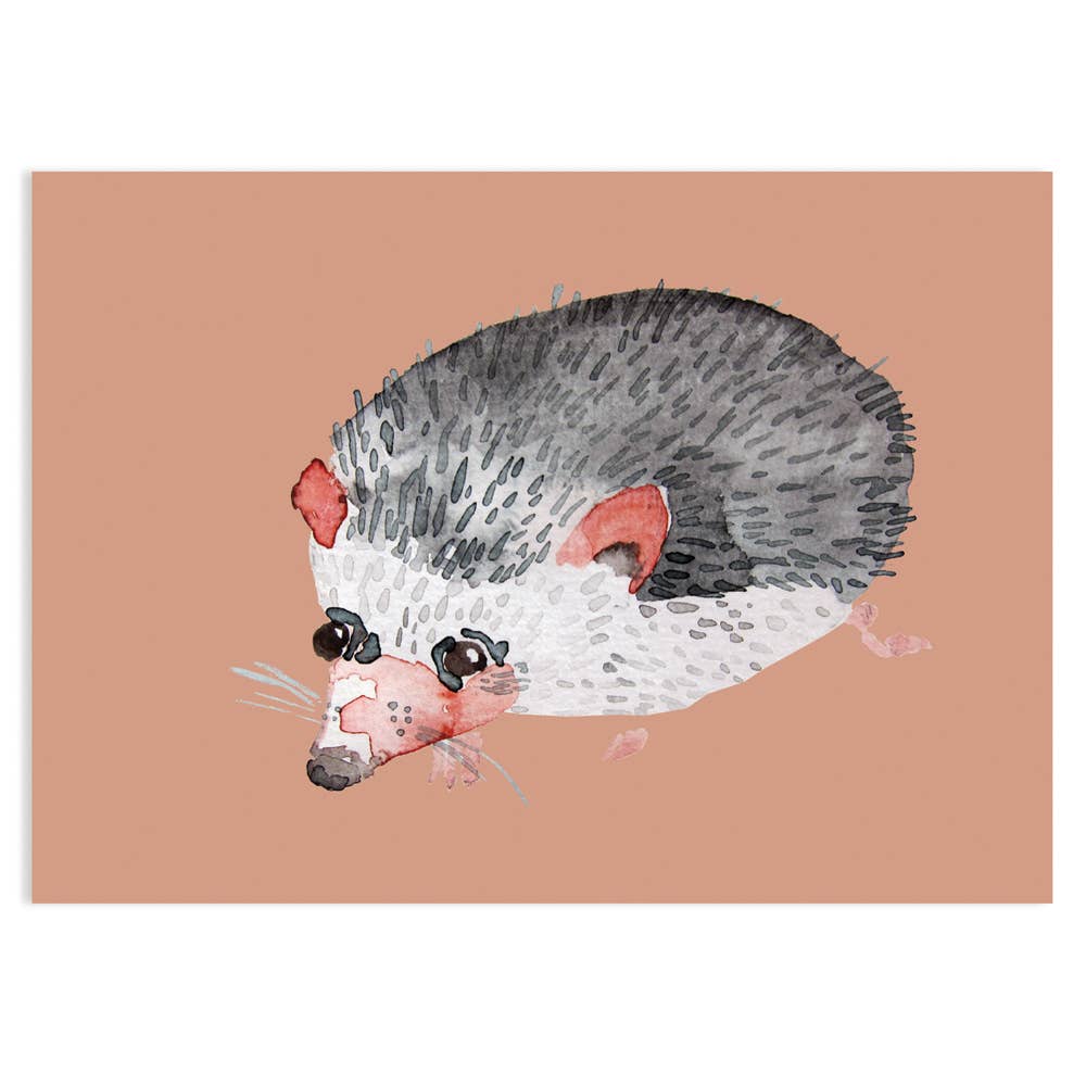 Hedgehog Postcard