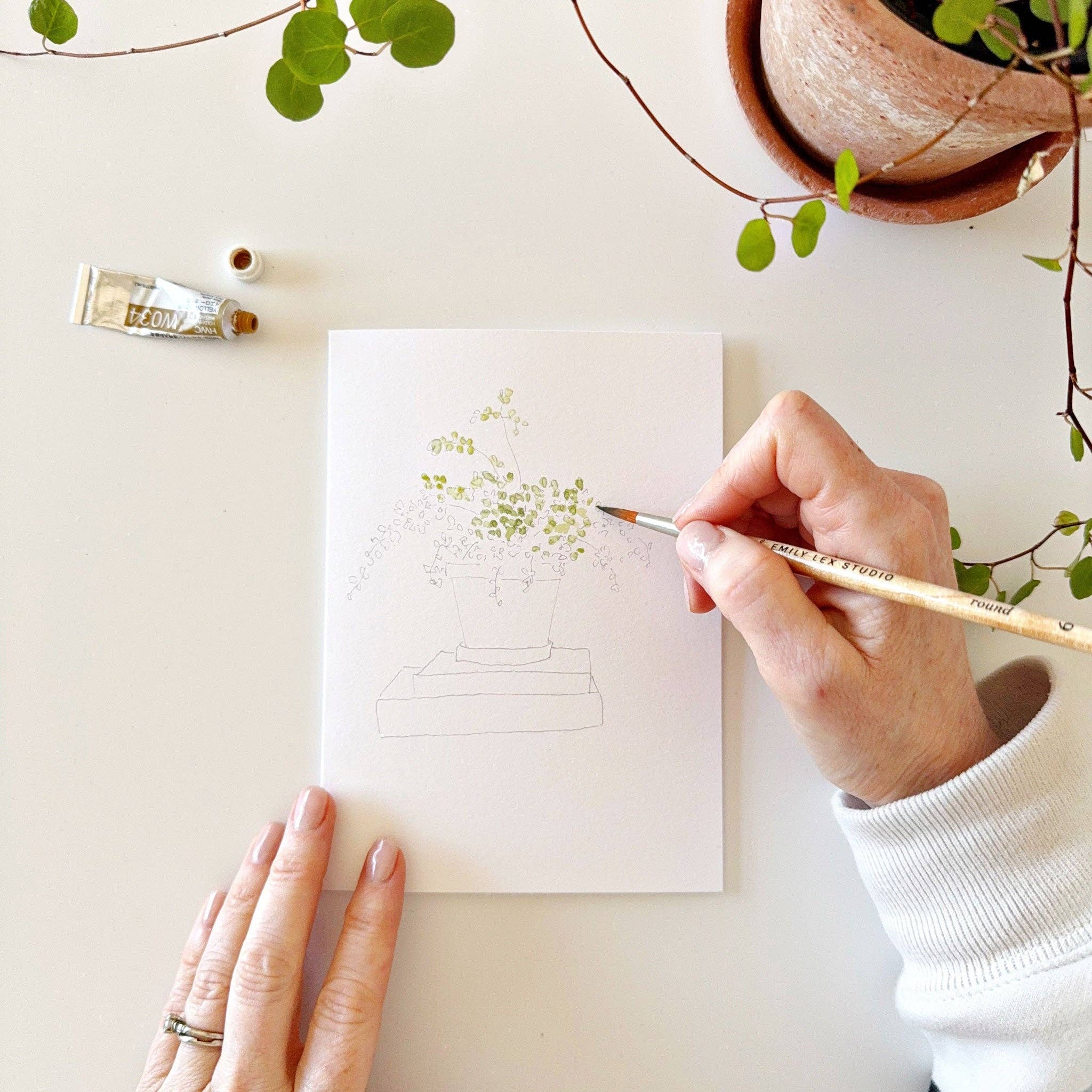 Potted Plants Paintable Notecards - Image 10