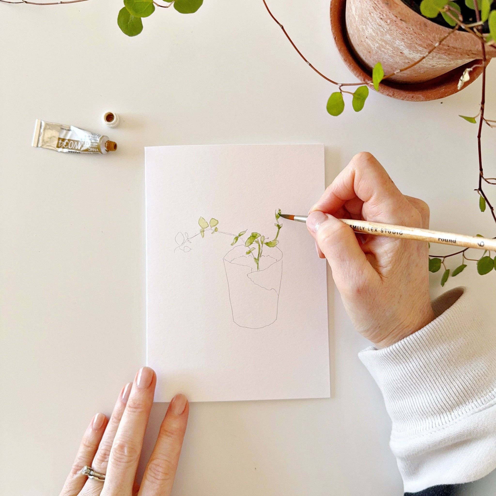 Potted Plants Paintable Notecards - Image 11