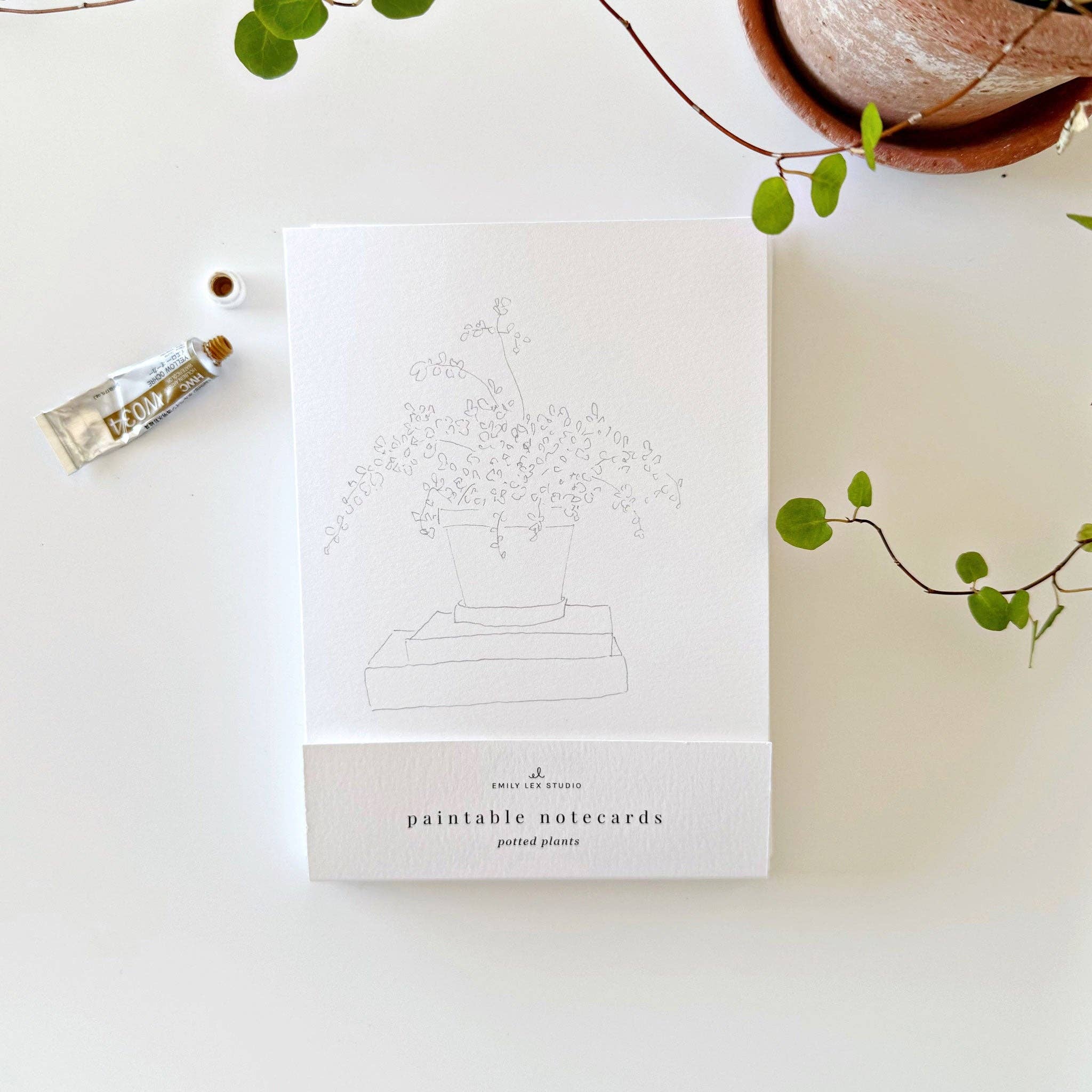 Potted Plants Paintable Notecards - Image 2