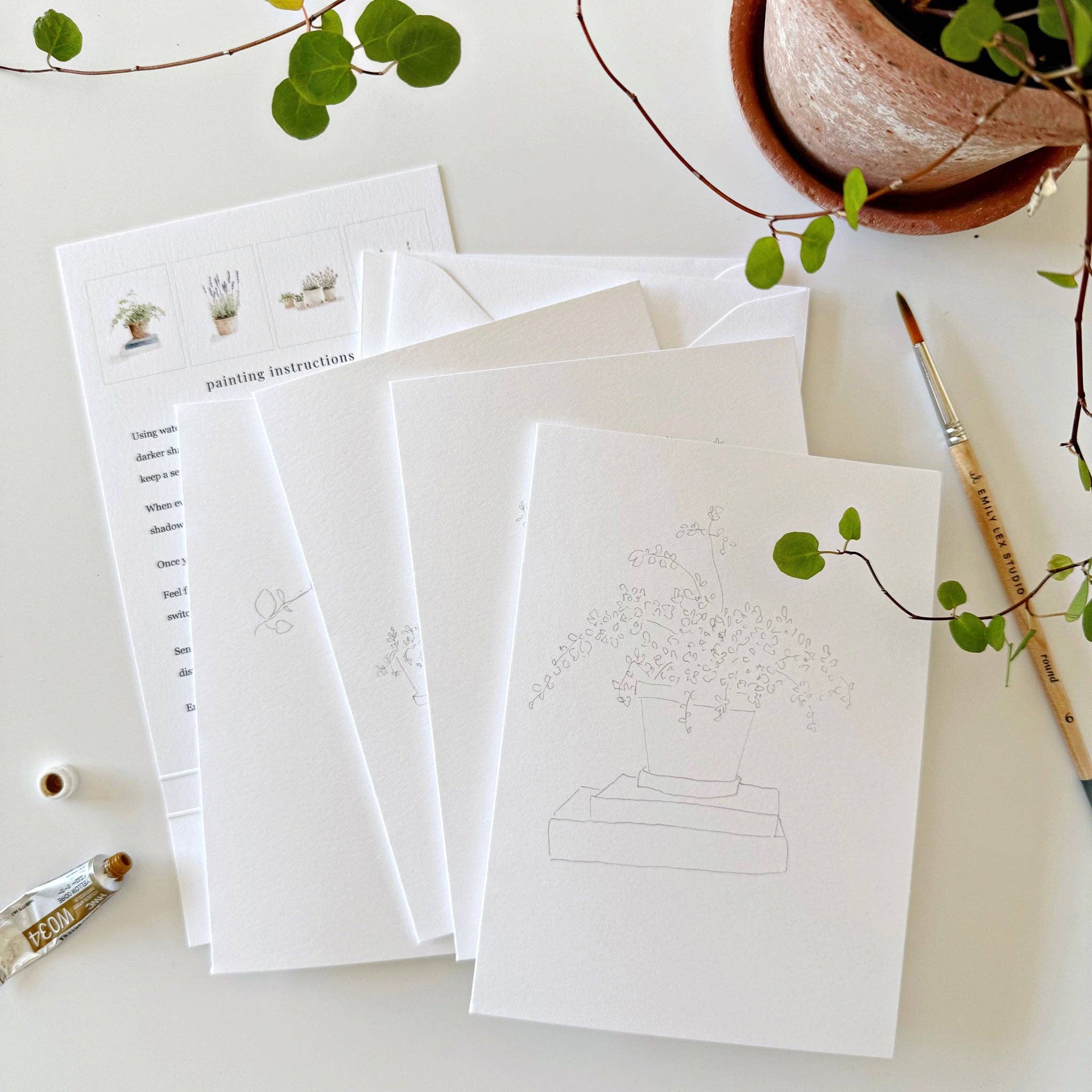 Potted Plants Paintable Notecards - Image 3