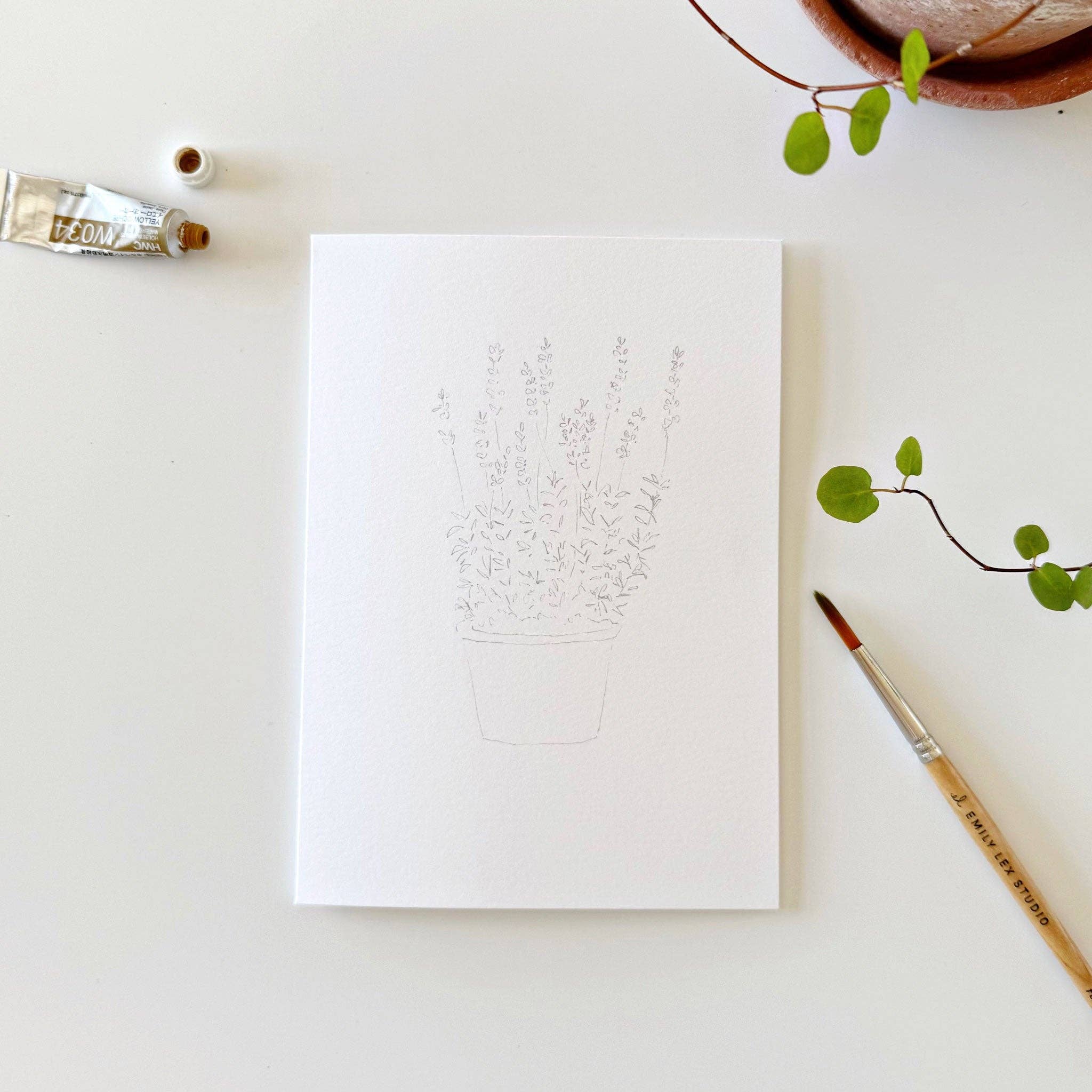 Potted Plants Paintable Notecards - Image 5