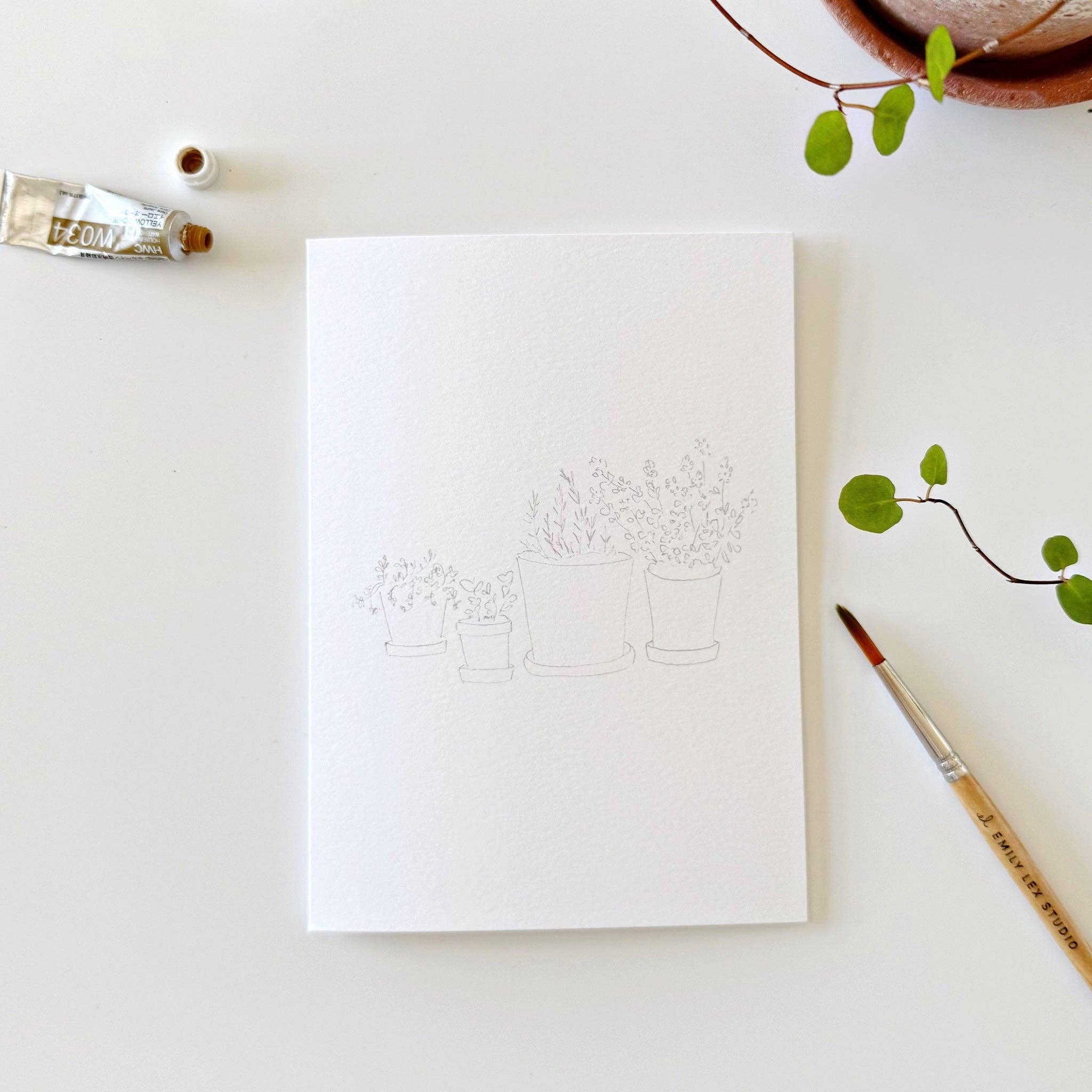 Potted Plants Paintable Notecards - Image 7