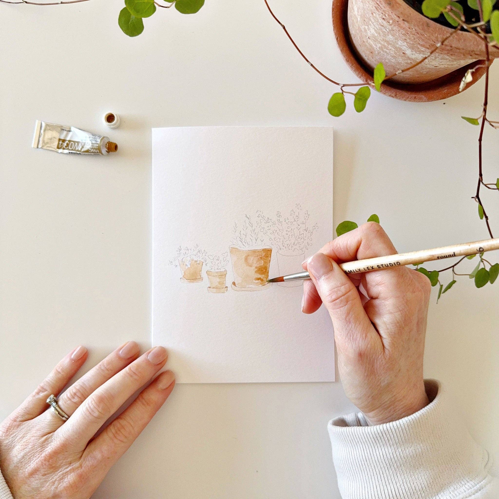 Potted Plants Paintable Notecards - Image 8