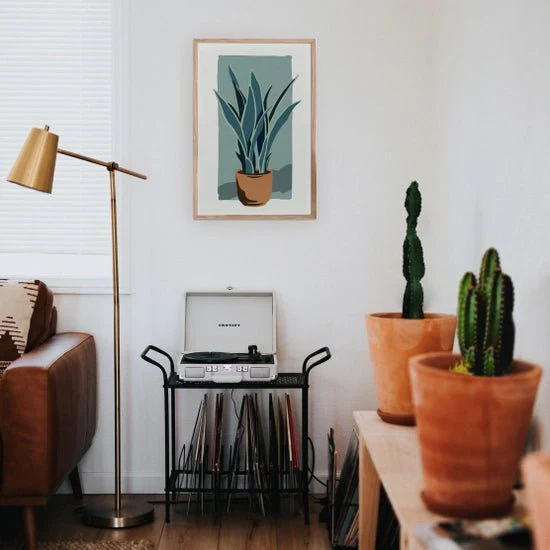 Modern Paint by Numbers Kit: Planted Snake Plant - Image 2