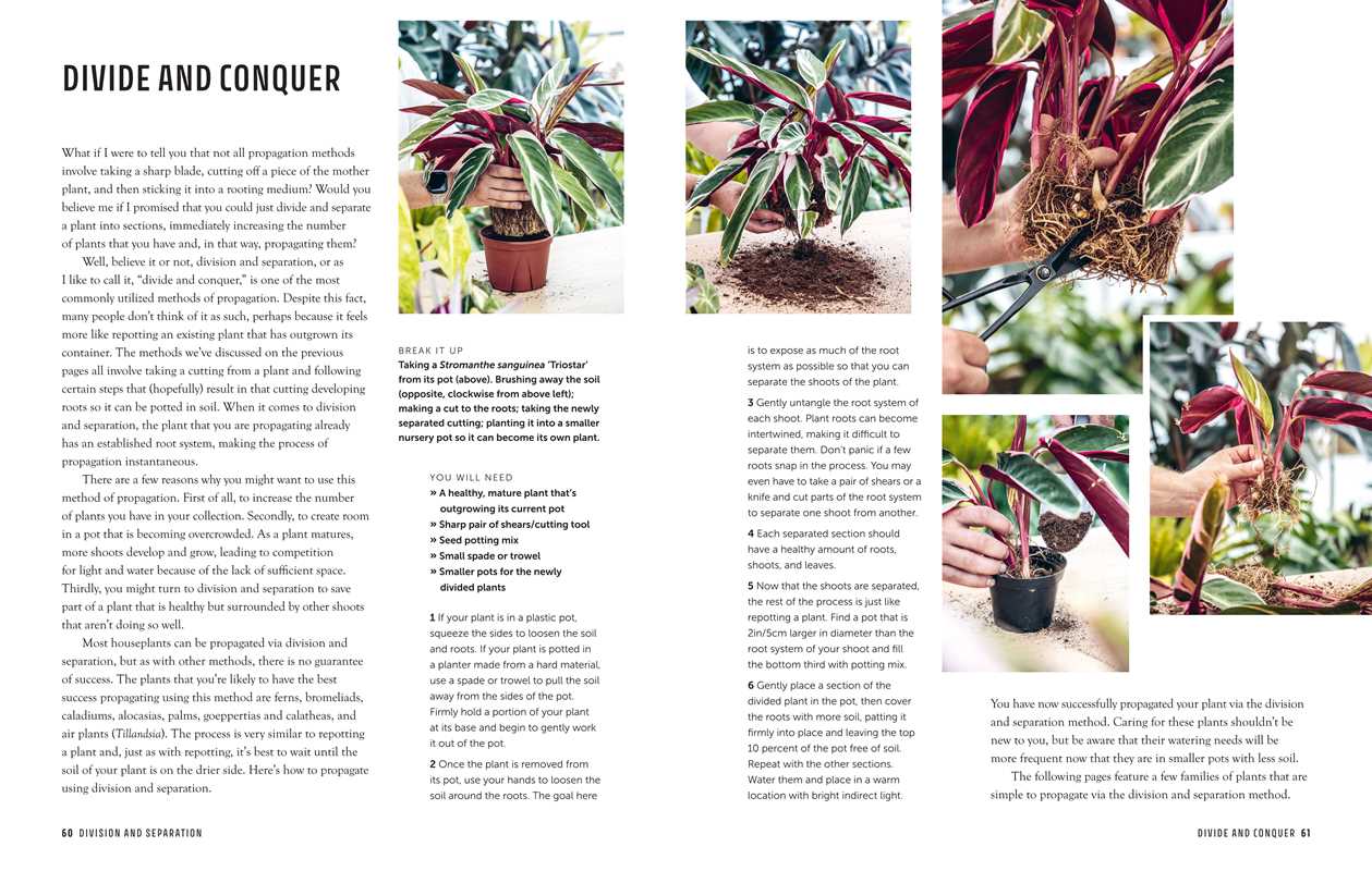 Propagation Handbook - Image 6