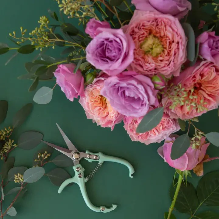 Pruning Shears - Image 3