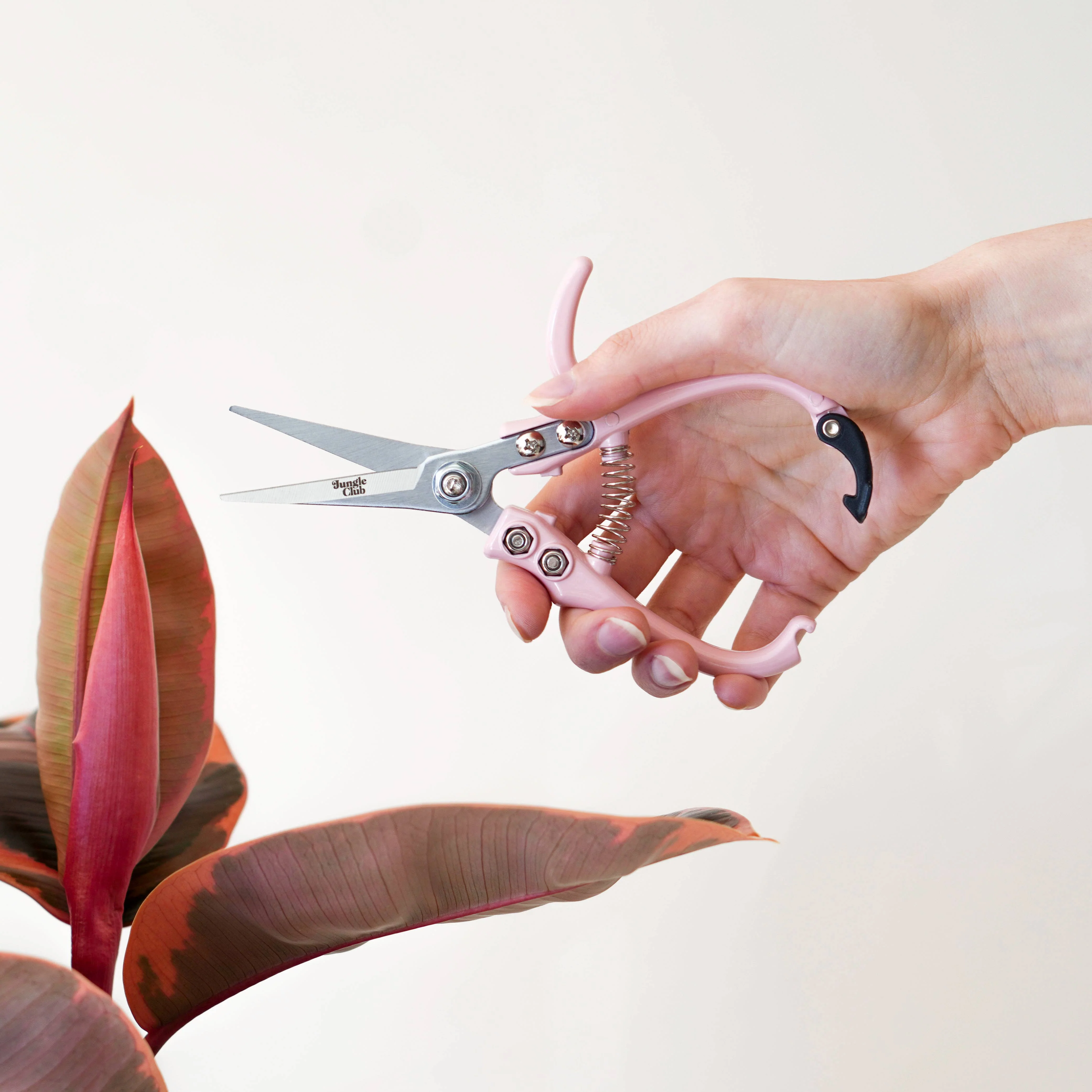Pruning Shears - Image 5