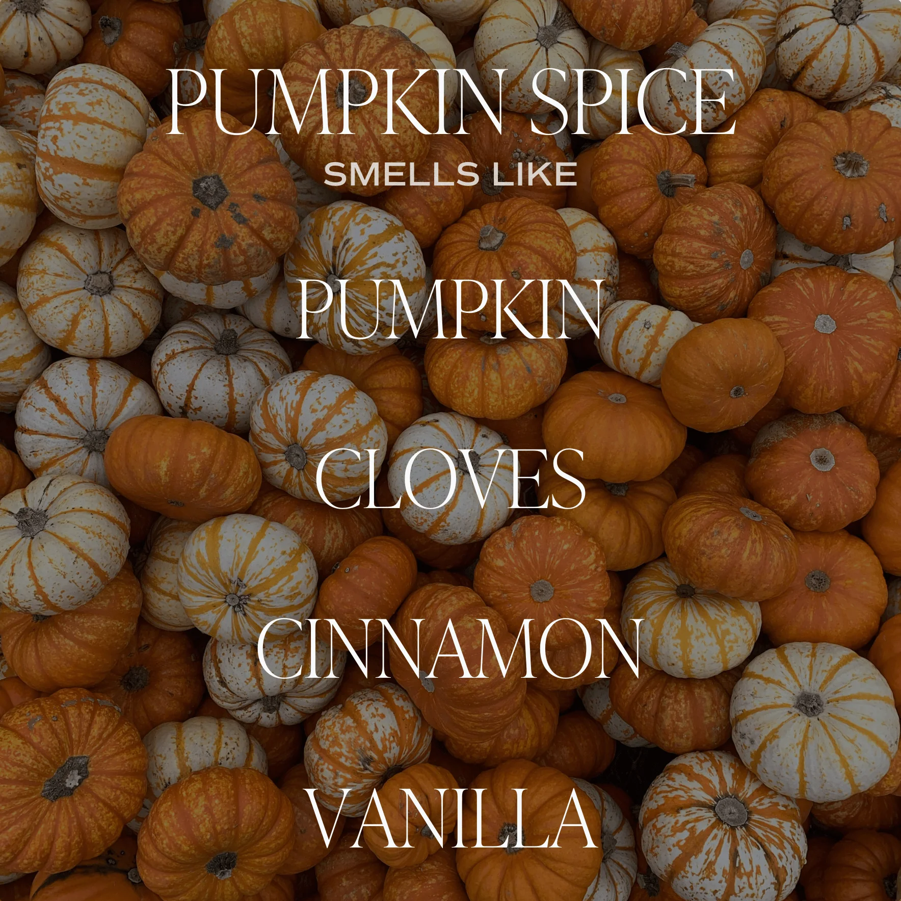 Pumpkin Spice Candle - Image 2