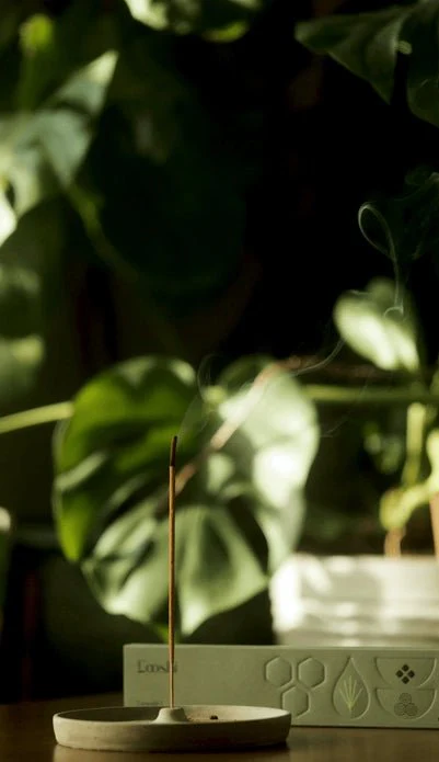 Rewild Intention Incense - Image 4
