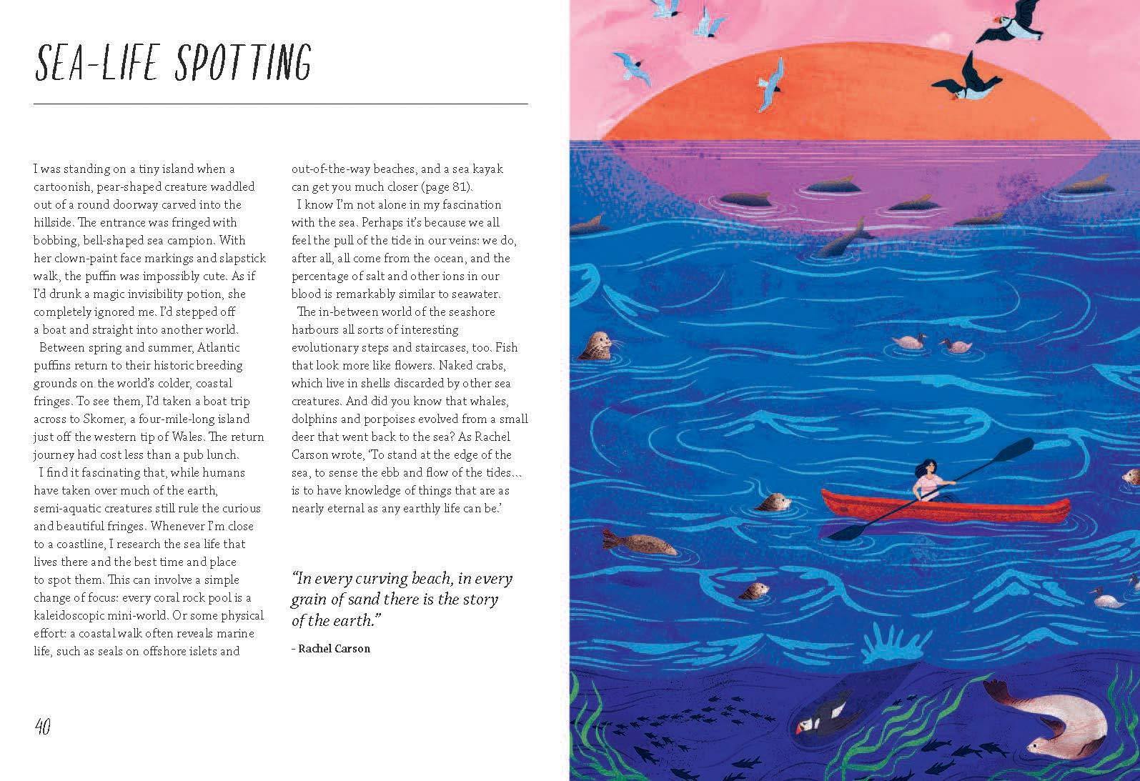 Rewild Your Life - Image 3