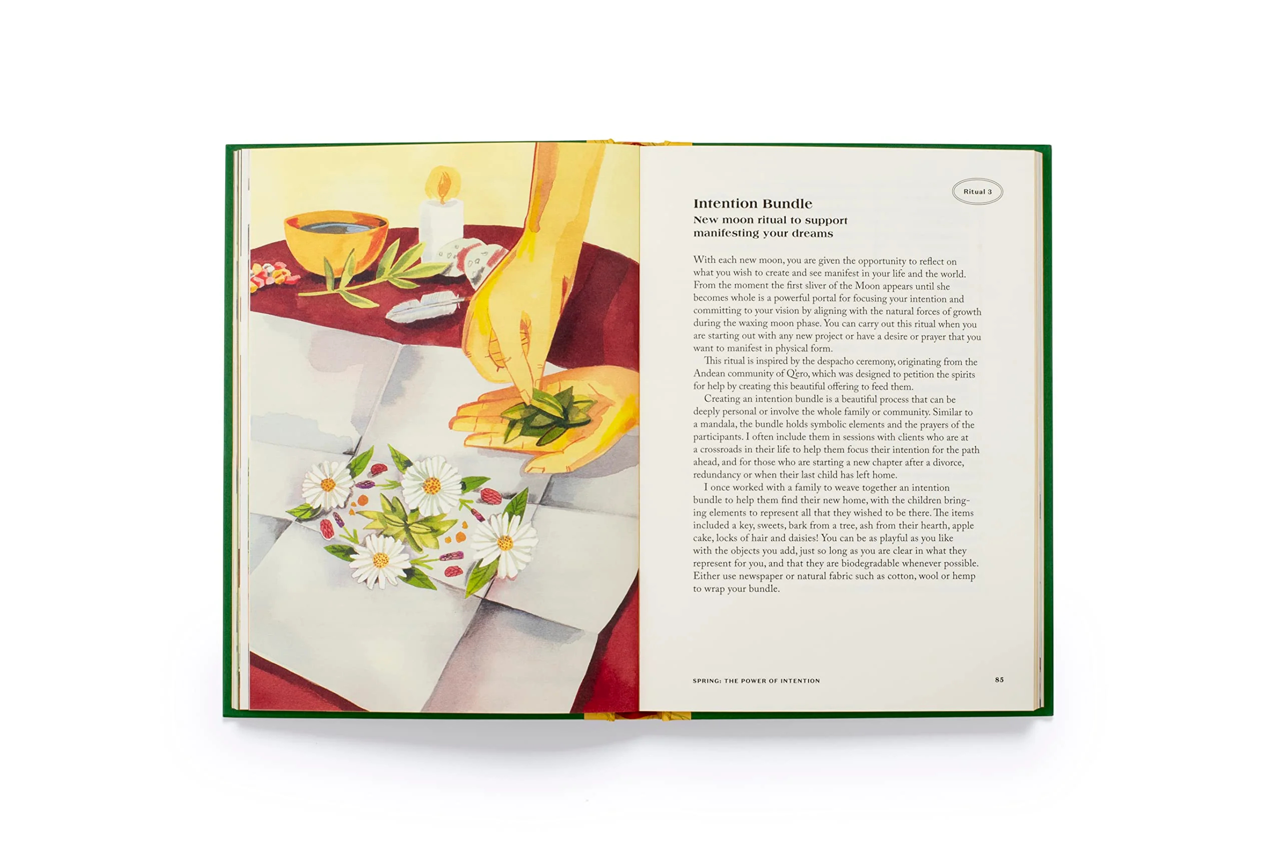 Rituals for Life: A Guide to Creating Meaningful Rituals Inspired by Nature - Image 5