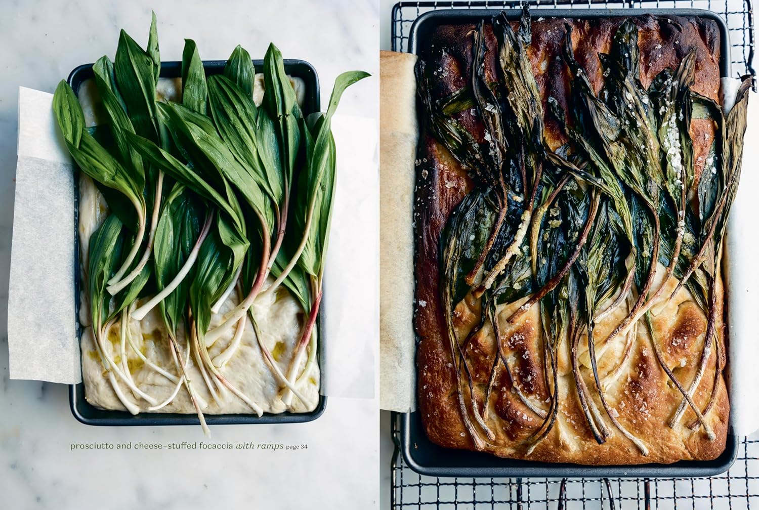 Rooted Kitchen: Seasonal Recipes, Stories, and Ways to Connect with the Natural World - Image 3