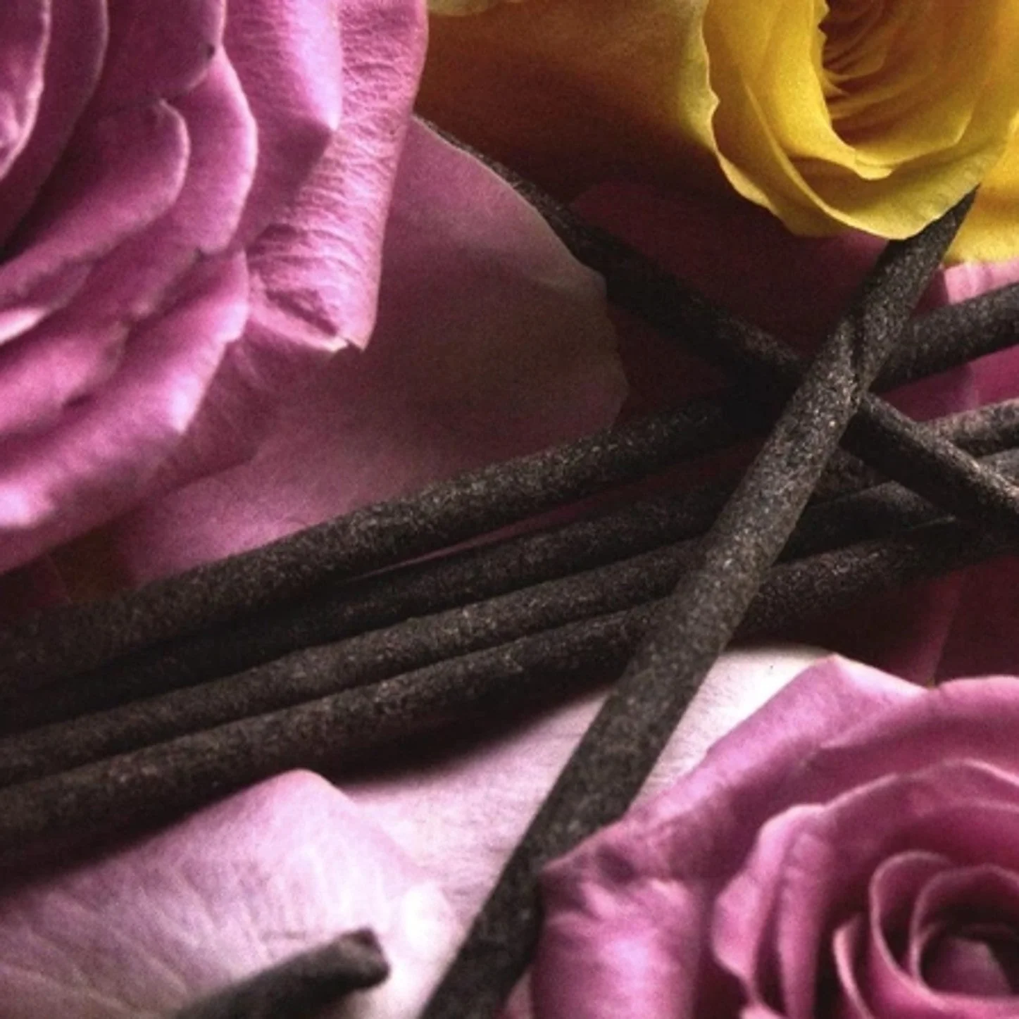 Sacred Elephant Luxury Prema Incense - Image 3