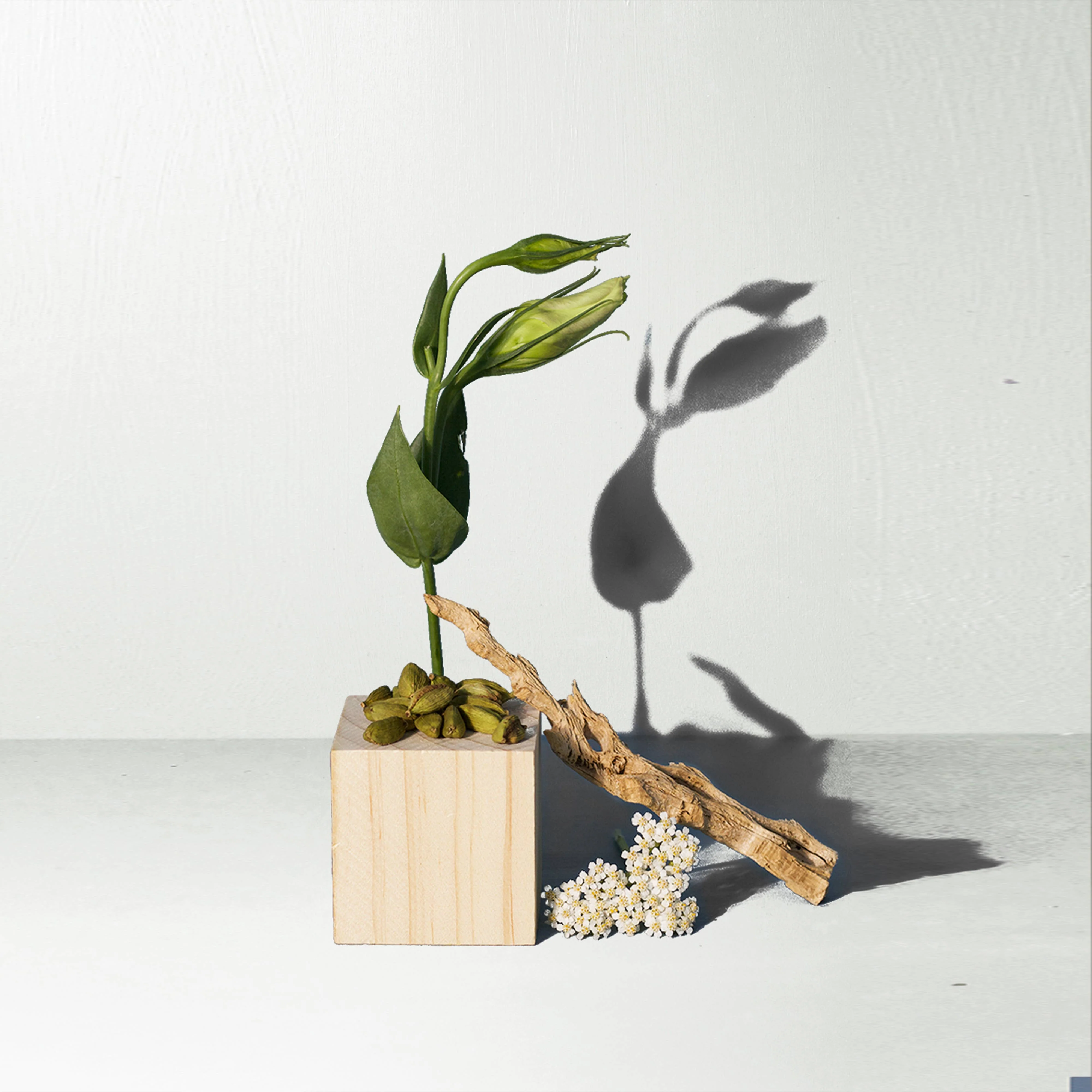 Santal Mini Candle - Image 2