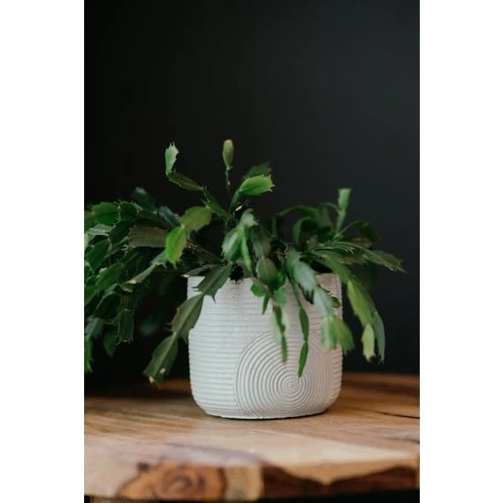 Scandi Style Planter - Image 2