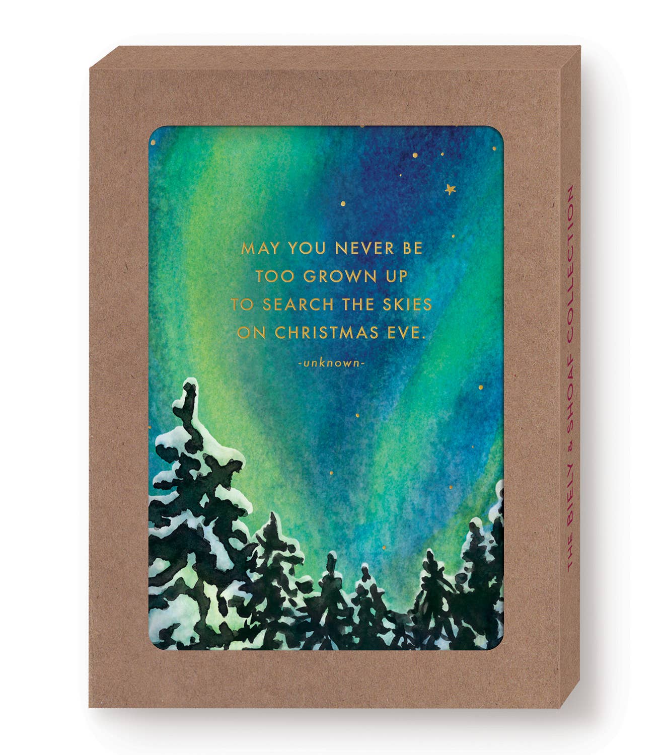 Search The Skies Holiday Cards Box Set - Image 6
