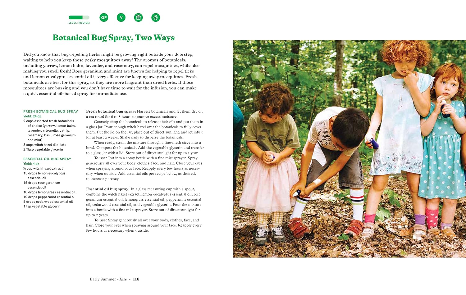 Seasonal Family Almanac: Recipes, Rituals, and Crafts to Embrace the Magic of the Year - Image 10