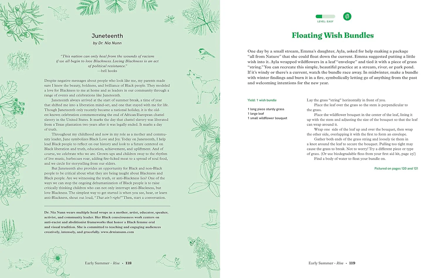 Seasonal Family Almanac: Recipes, Rituals, and Crafts to Embrace the Magic of the Year - Image 11