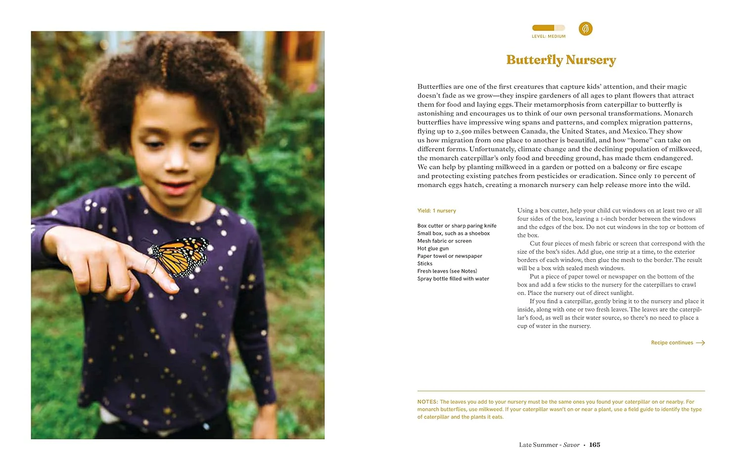 Seasonal Family Almanac: Recipes, Rituals, and Crafts to Embrace the Magic of the Year - Image 13