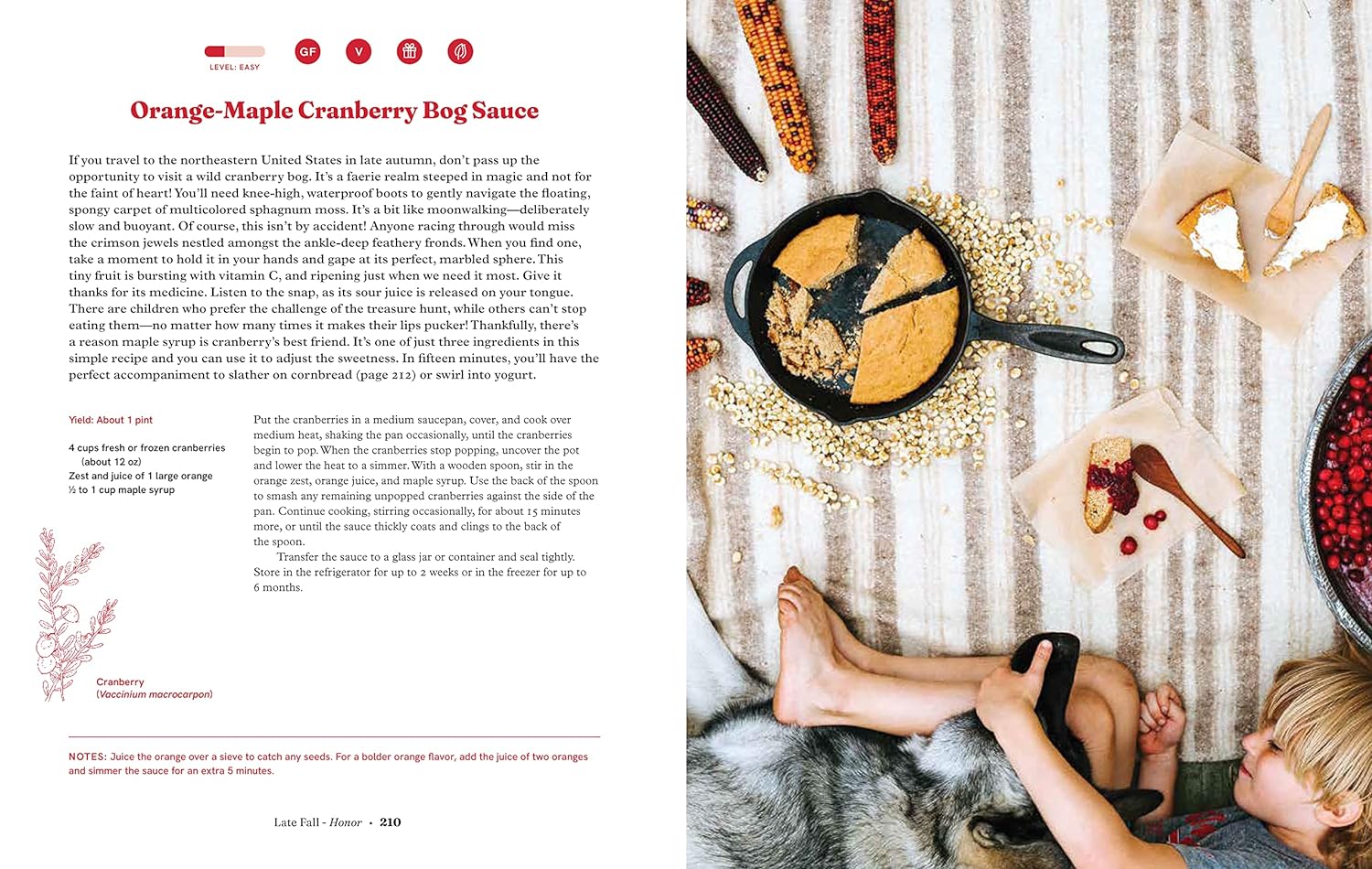 Seasonal Family Almanac: Recipes, Rituals, and Crafts to Embrace the Magic of the Year - Image 15