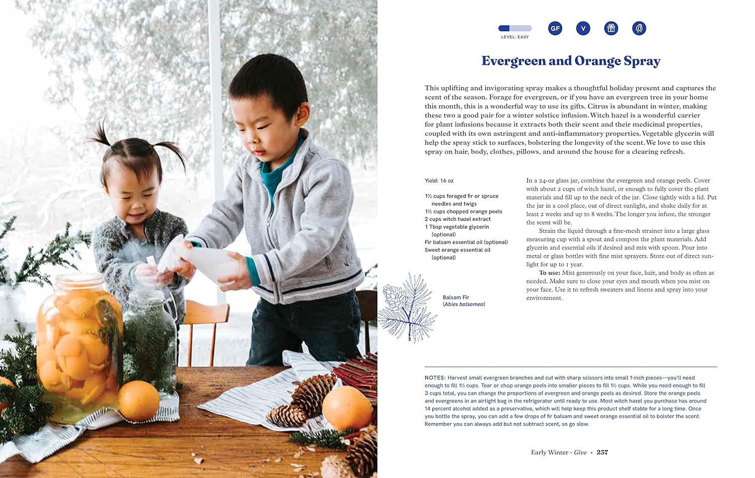 Seasonal Family Almanac: Recipes, Rituals, and Crafts to Embrace the Magic of the Year - Image 17