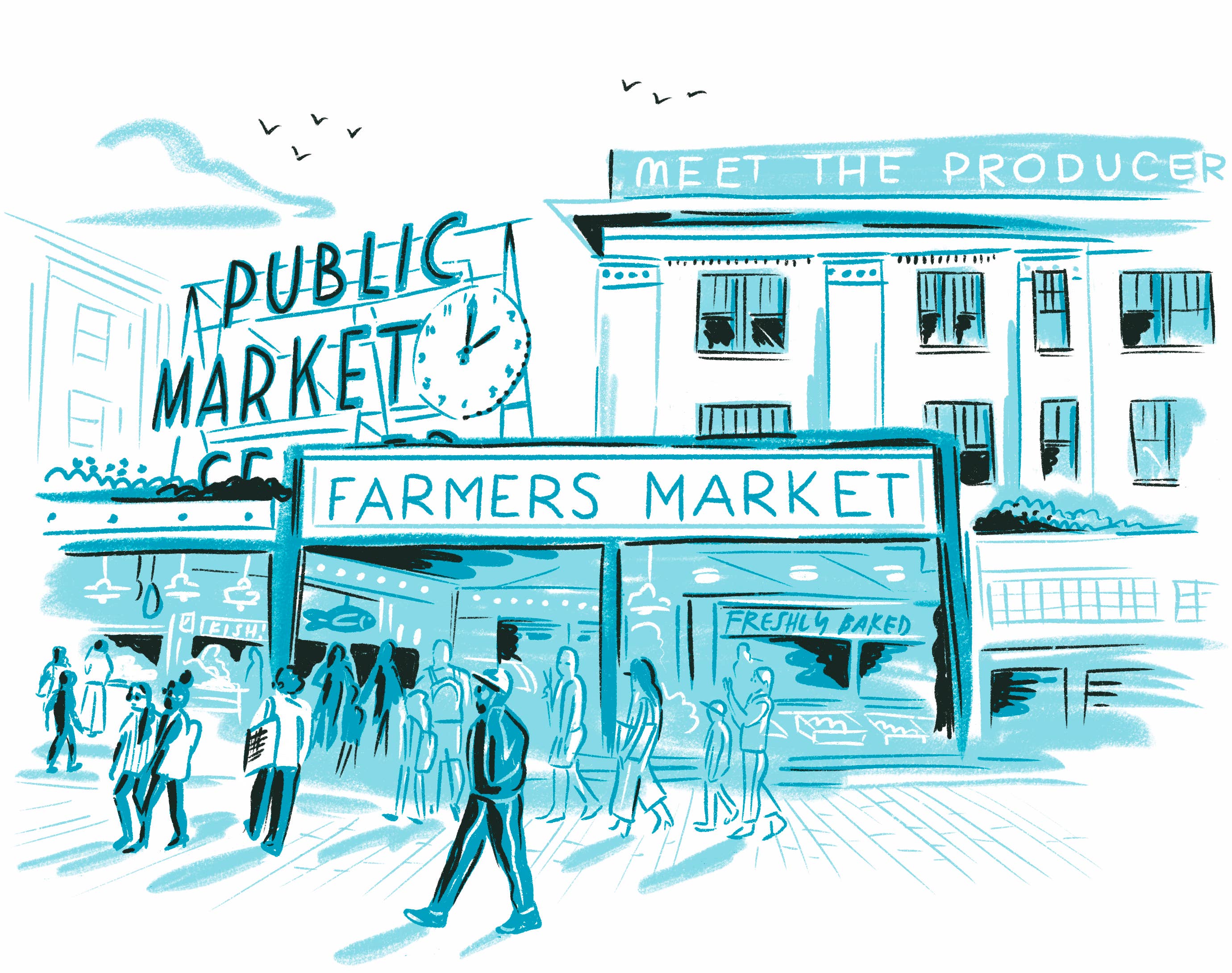 Seattle Field Guide - Image 3