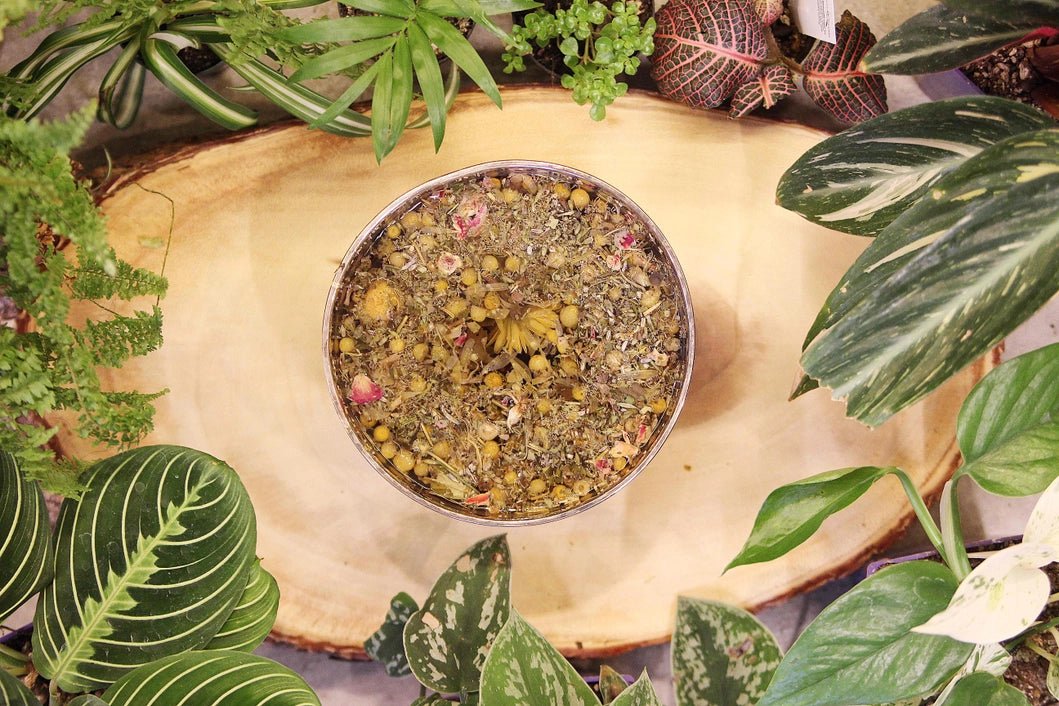 Herbal Steam Facial Blend - Image 3
