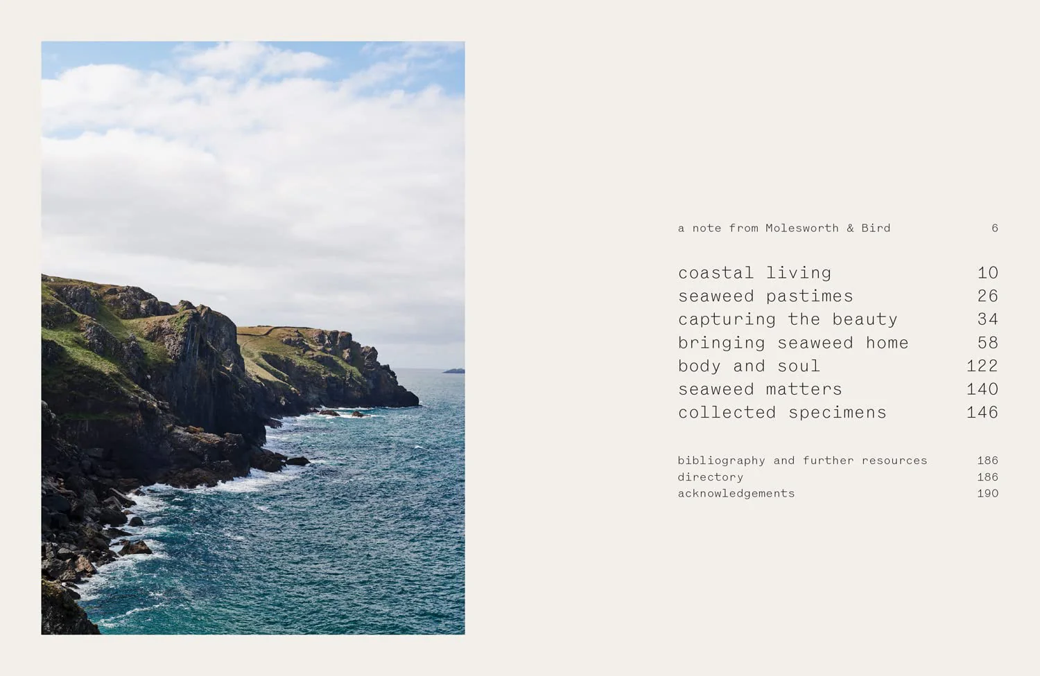 Seaweed: Foraging, Collecting, Pressing - Image 2
