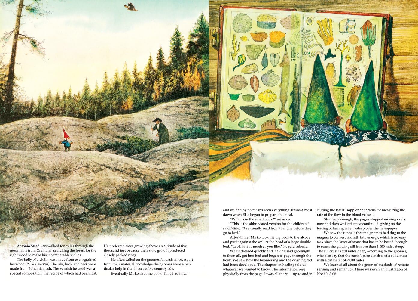 Secrets of the Gnomes - Image 7
